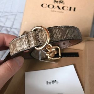 Coach Other - Coach Small Pet Collar - Gold/Khaki Coach Other - Coach Small Pet Collar - Gold/Khaki